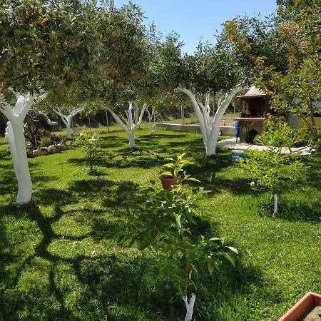 Amarantos Beautiful Garden House Villa Metokhion Patriotikon Exterior photo
