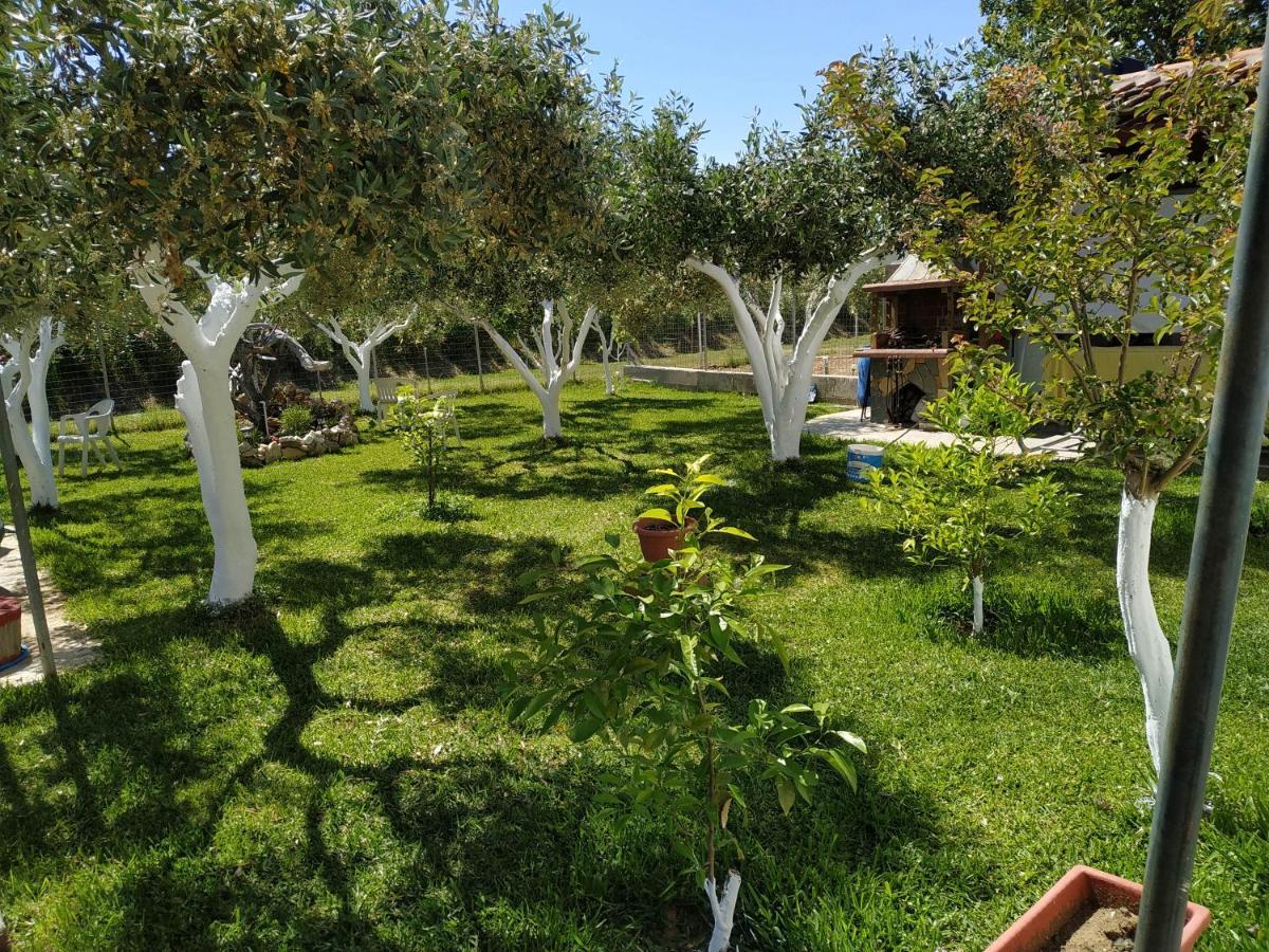 Amarantos Beautiful Garden House *